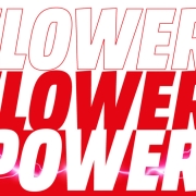 Flower Power II en Media Markt