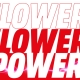 Flower Power II en Media Markt