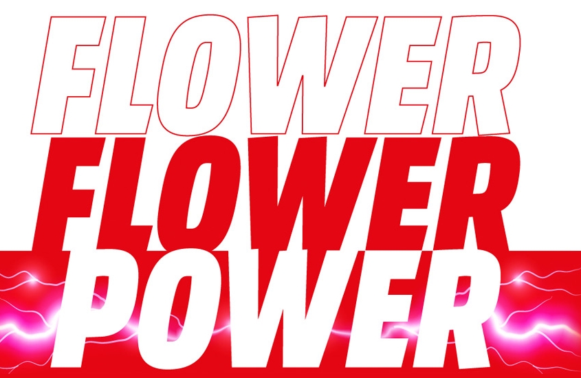 Flower Power II en Media Markt